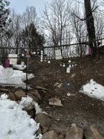 IMG_1382.jpeg