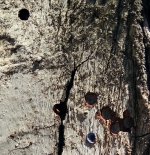 TX200 .22 42yrds.jpg