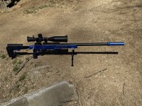 IMG_2824.jpeg