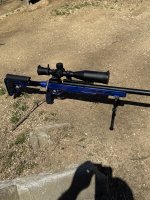IMG_2828.jpeg