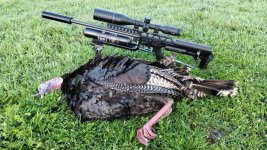 Steelhead707turkey2025.jpg