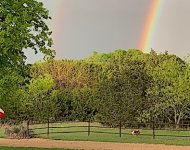 Mags rainbows.jpeg