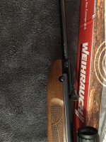 IMG_7507.jpeg