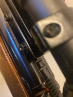IMG_4207.jpeg