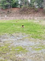 IMG_2656.jpeg