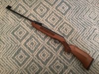 IMG_2825.jpeg