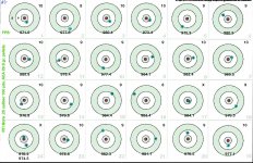 RTI Mora 25 Cal #2 100yds AEA 29gr pellets20250409.jpg