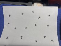 IMG_7321.jpeg