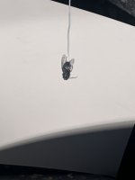 IMG_7326.jpeg