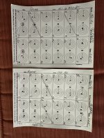 IMG_2959.jpeg