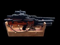 Tote Runners Side w 2 rifles.jpg