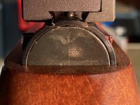 IMG_6239.jpg