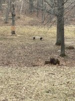IMG_3382.jpeg