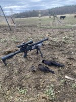IMG_0334.jpeg