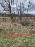 IMG_0337.jpeg