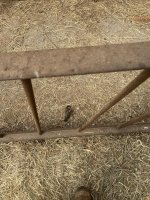 IMG_0324.jpeg