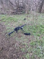 IMG_0331.jpeg
