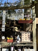 IMG_1614.jpeg