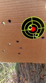 IMG_20250413_171557.jpg
