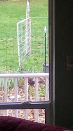 IMG_20250410_160723.jpg