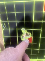 IMG_5472.jpeg