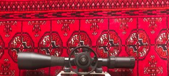 IMG_9041.jpeg