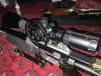 IMG_8472.jpeg