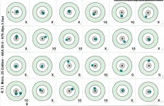 Mora 25 cal AEA 29gr at 975 fps 100 yds #120250415.jpg