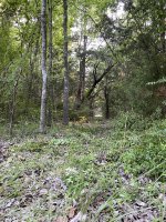 IMG_1532.jpg