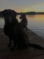 IMG_1298.jpeg