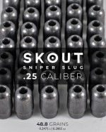 25cal. Skout. Sniper Slug. 48.80gr. (6.2865mm). #02.jpg