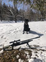 IMG_1524.jpeg