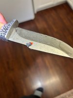 IMG_2093.jpeg