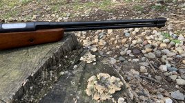 IMG_9785.jpeg