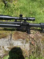 IMG_1445.jpeg