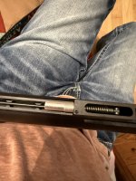 IMG_4334.jpeg