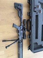 IMG_2132.jpeg