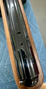 IMG_8312.jpeg