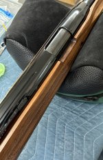 IMG_8313.jpeg