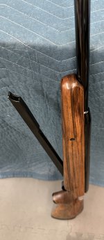 IMG_8323.jpeg