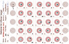 RTI Mora 25 cal JTS 30gr at 980 fps 50 yds #120250421 small.jpg