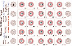 RTI Mora 25 cal JTS 30gr at 980 fps 50 yds #220250421 small.jpg
