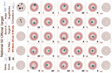 RTI Mora 25 cal JTS 30gr at 980 fps 50 yds #320250421 small.jpg