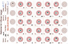 RTI Mora 25 cal JTS 30gr at 980 fps 50 yds #420250421 small.jpg