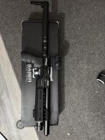 IMG_2095.jpeg