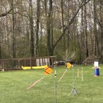 IMG_4846.jpeg