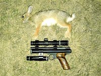 35 yard bunny.JPG