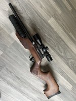 IMG_7624.jpeg