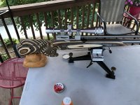 IMG_0562.jpeg