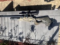 IMG_6887.jpeg